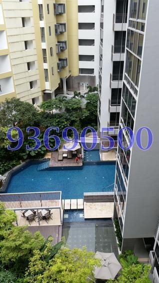 The Boutiq (D9), Apartment #190438182